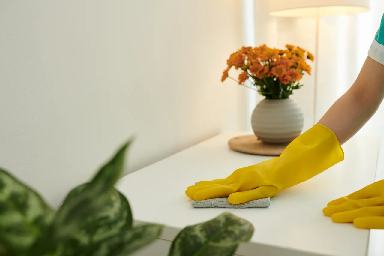 Detailed surface cleaning in Rhode Island